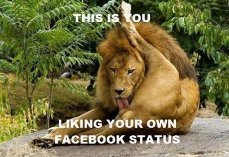 liking ur own fb status
