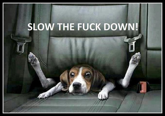 slow down