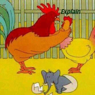 Explain !!!