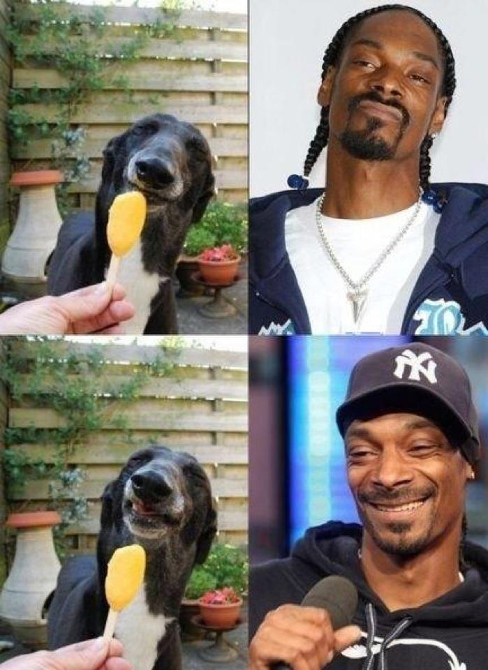 Doggy Doggy