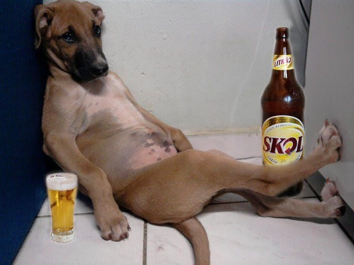 DevDogDas