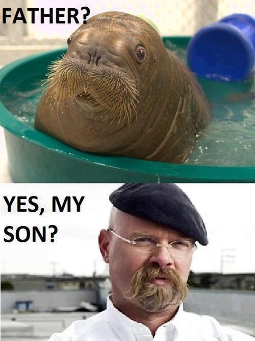 Father n Son