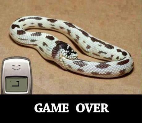 Game over