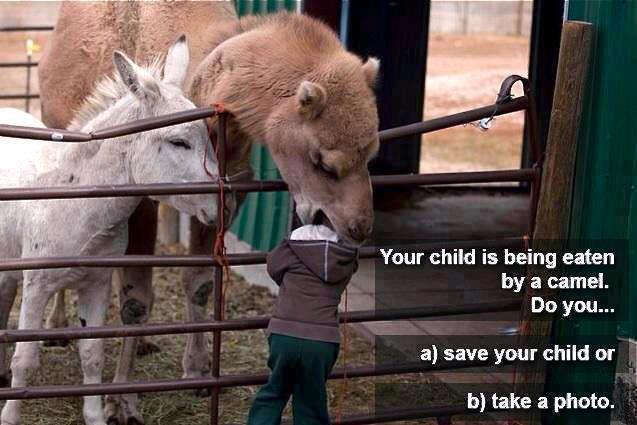 Save your child or take photo :P :D