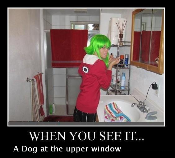 See the dog :P