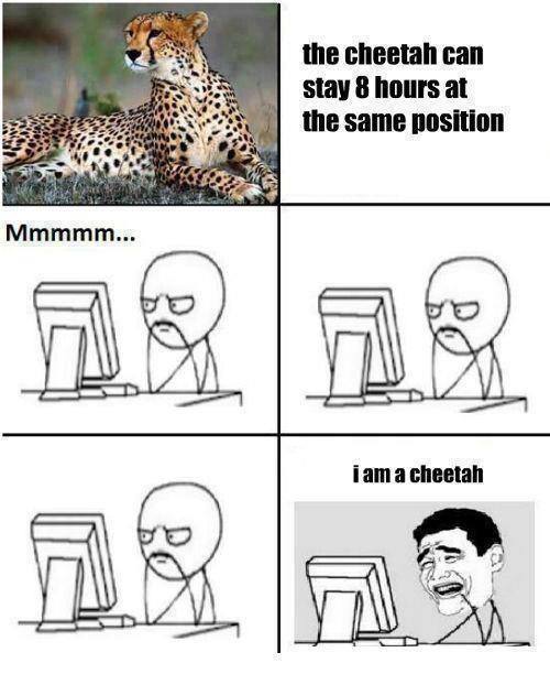 I am chetah