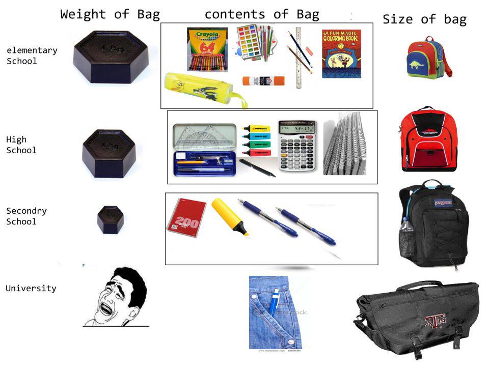 Weight of a bag in studies