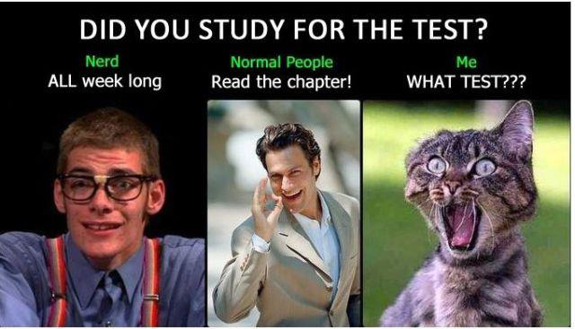 Study for d test