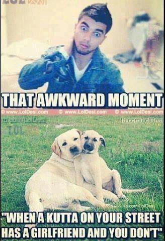 kutta on ur street