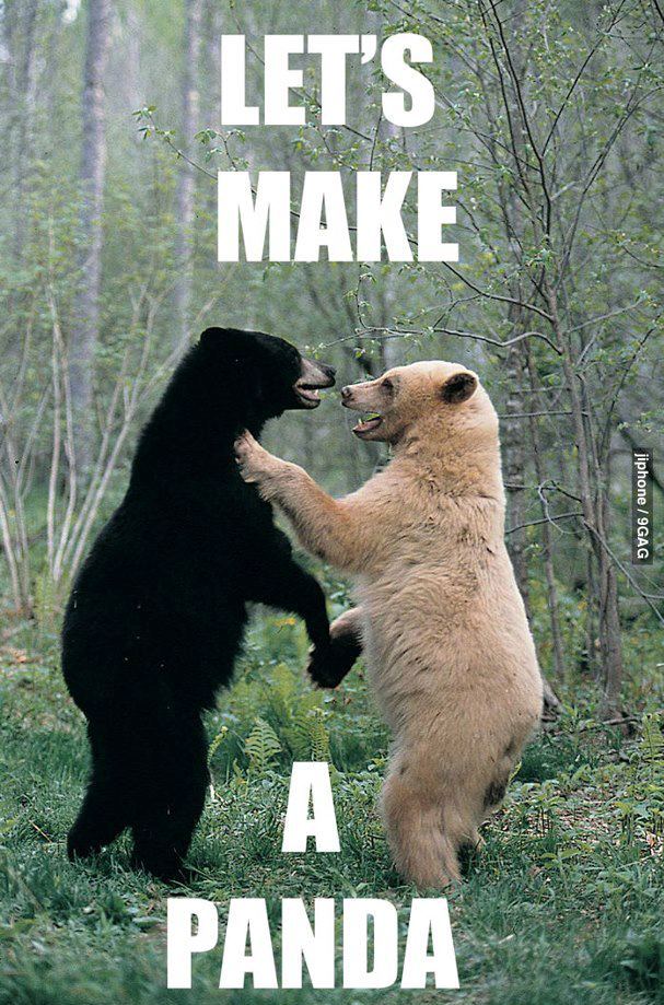 lets make a panda :P