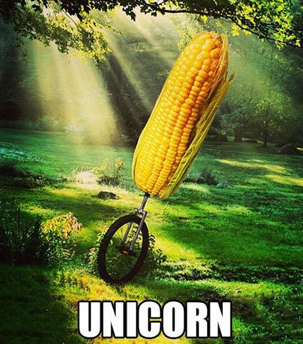 unicord :D