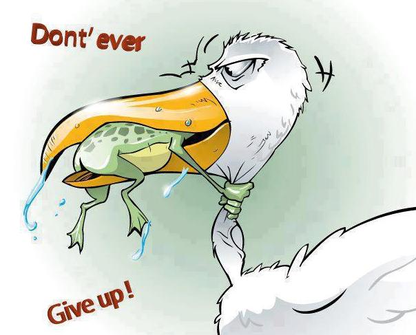 don't give up